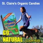 st claires organic candy