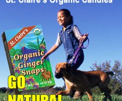 st claires organic candy